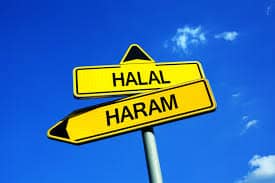 What is Halal And Haram? || Blog By Online Islamic Institute